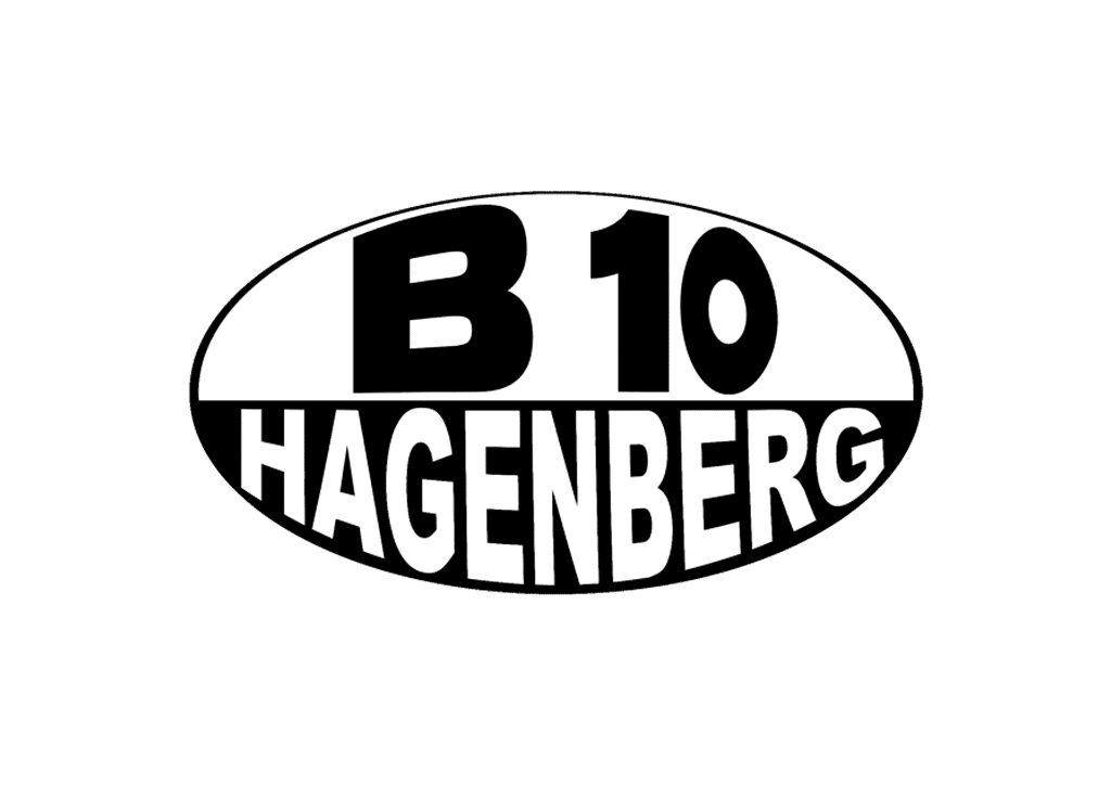 B10 Logo Header größer
