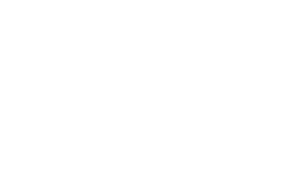 Die Grafikhelden